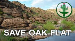 SAVE OAK FLAT overlaid on photo of mountain and river