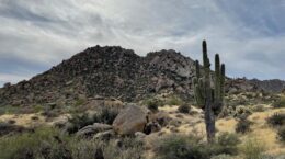 Mountain with saguaro cactus in the foreground, cloudy sky