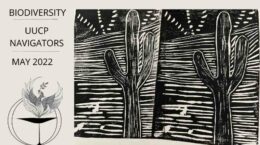 Biodiversity | UUCP Navigators | May 2022 next to block print of saguaro cactus