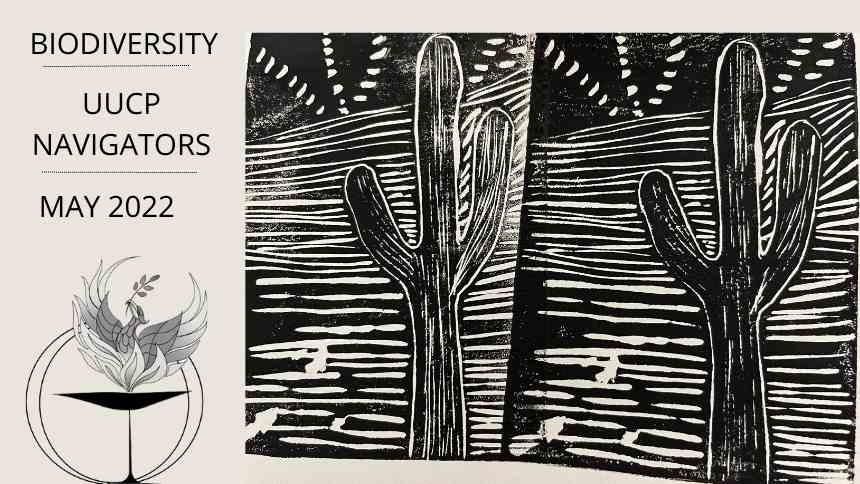 Biodiversity | UUCP Navigators | May 2022 next to block print of saguaro cactus