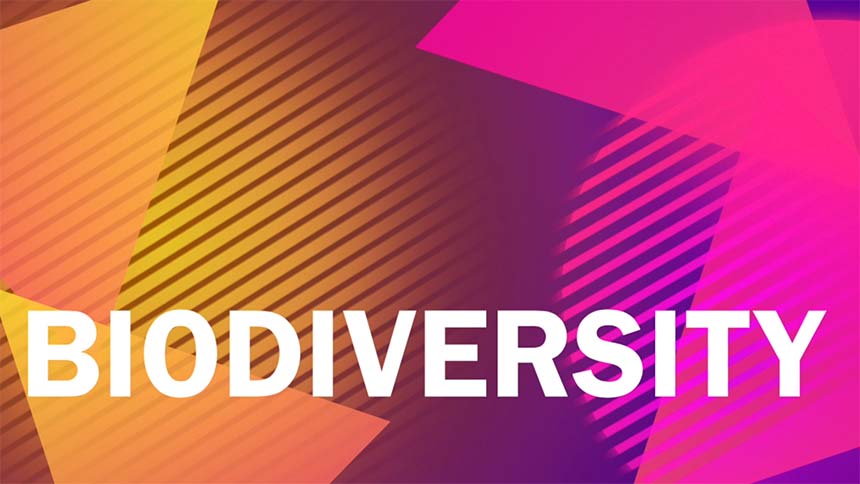 BIODIVERSITY in white text over orange / pink colored background