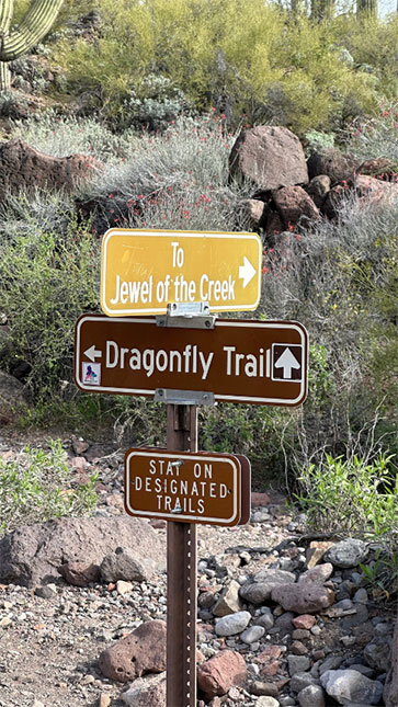 A picture of a signpost for Dragonfly trail.