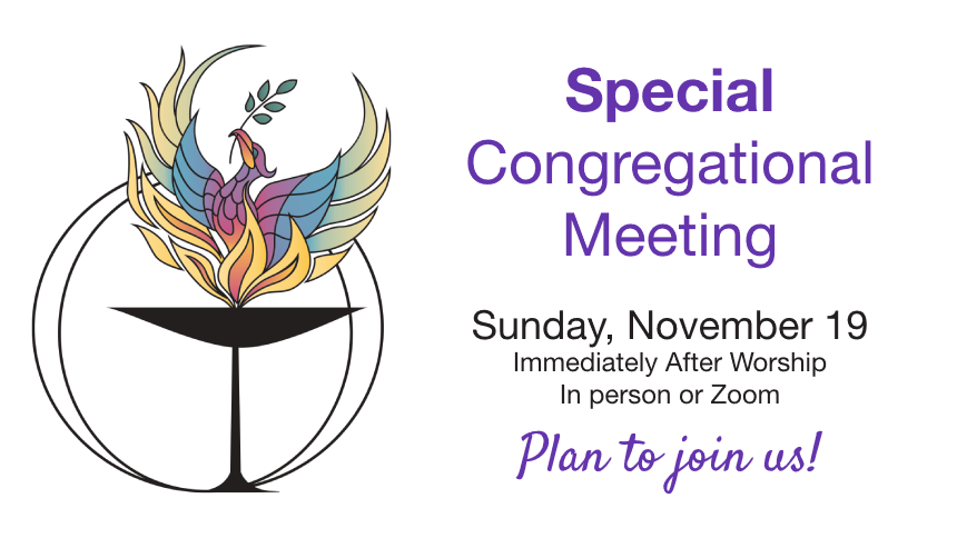 Special congregational meeting - Sunday, November 19 - immediately after worship - in person or Zoom - Please join us!